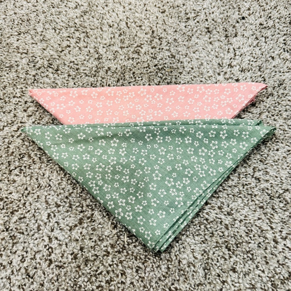 Bundle of 2 Dog Tie Bandanas - Picture 5 of 5